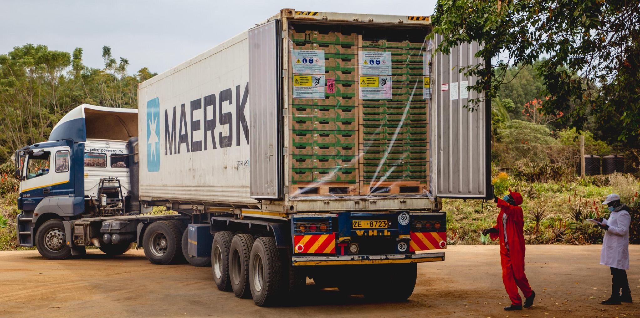 Export logistics truck