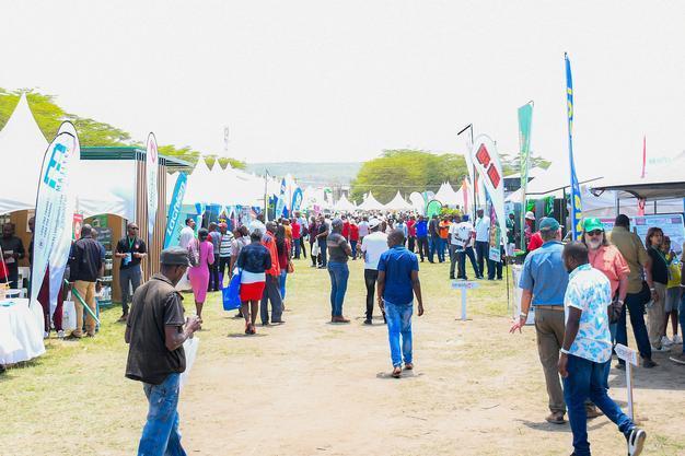 Crowds walking through the festival exhibition grounds
