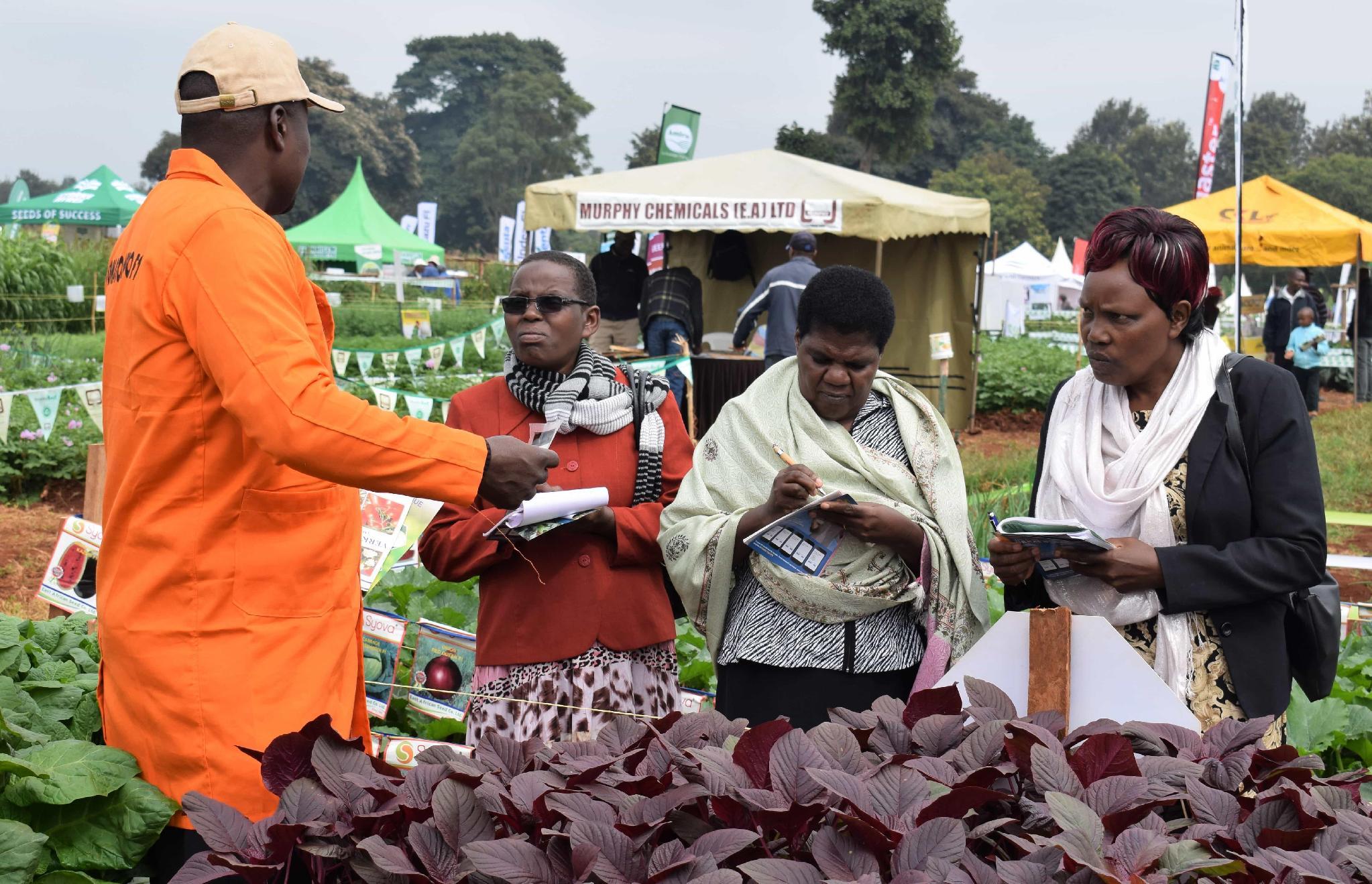 Seeds of Success exhibition tent